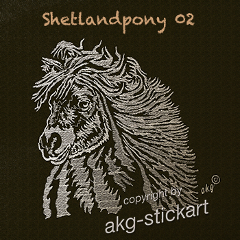 Shetland Pony 02