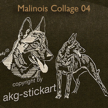 Malinois Collage 04