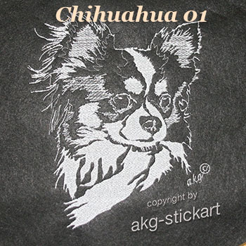 Chihuahua 01