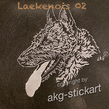 Laekenois 2