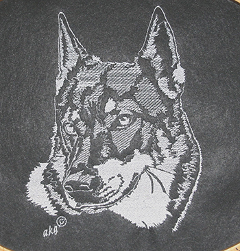 Tschechoslowakischer Wolfhund 02