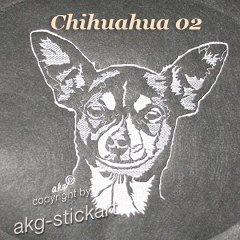 Chihuahua 02