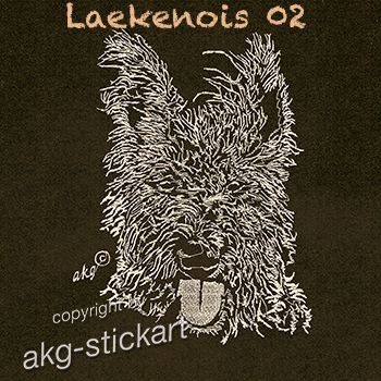 Laekenois 02