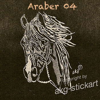 Araber 04