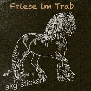 Friese im Trab