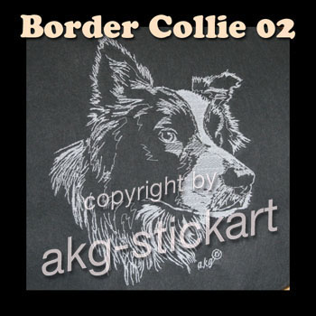 Border Collie 02