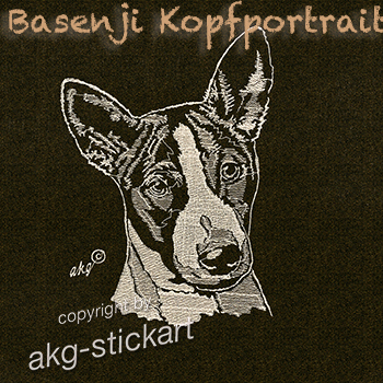 Basenji Kopfportrait