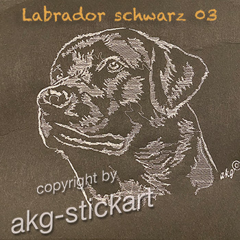 Labrador schwarz 03