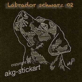 Labrador schwarz 02