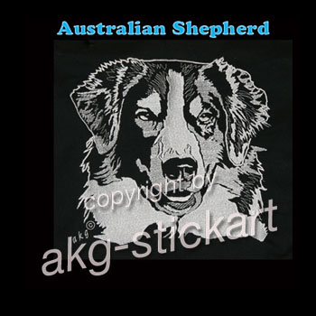 Australian Shepherd Kopfportrait