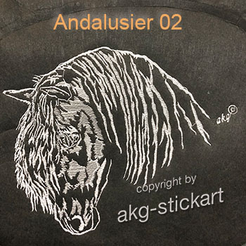 Andalusier 02