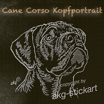 Cane Corso Kopfportrait