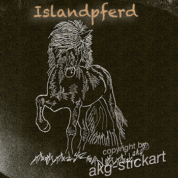 Islandpferd