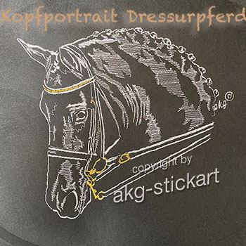 Kopfportrait Dressurpferd