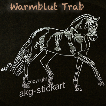 Warmblut Trab