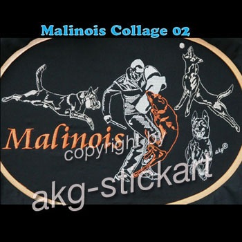 Malinois Collage 02