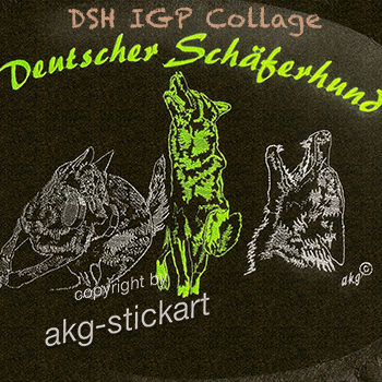 DSH IGP Collage