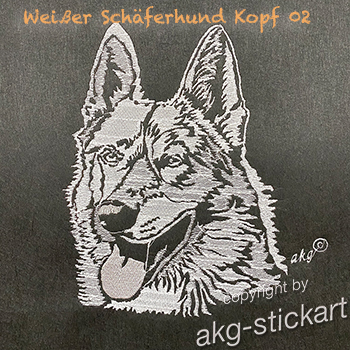 Weißer Schäferhund Kopfportrait 02