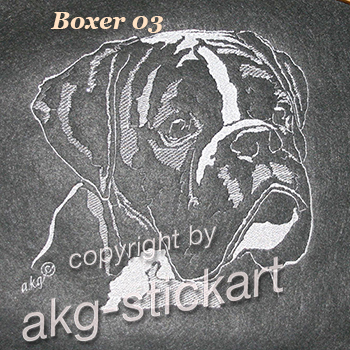 Boxer 03